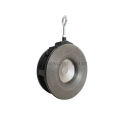 Reliable reputation ductile iron rubber disc check valve